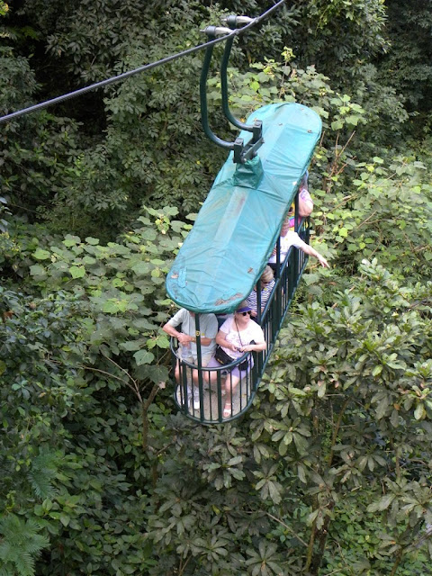 Bosque Lluvioso rain forest