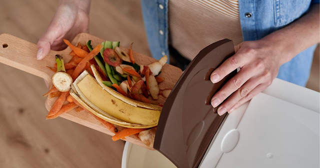 Best Electric Kitchen Composter to Buy