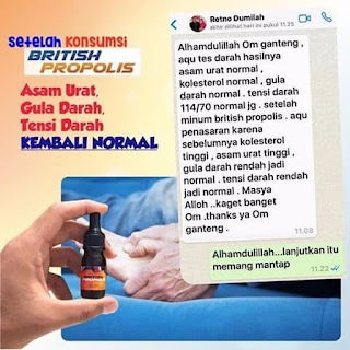 Obat Asam Urat Alami British Propolis Ampuuh dan Paten