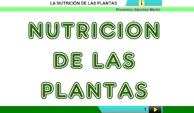 http://www.ceiploreto.es/sugerencias/cplosangeles.juntaextremadura.net/web/curso_4/naturales_4/nutricion_plantas_4/nutricion_plantas_4.html
