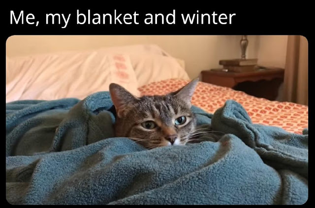 Me, my blanket and winter