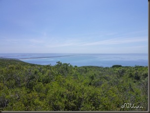 P1080852