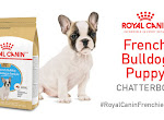 Free Royal Canin French Bulldog Puppy Chatterbox Kit - Ripple Street