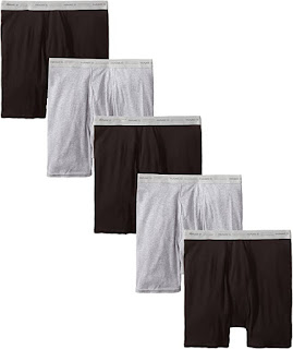 Hanes Men's Tagless Boxer with ComfortFlex Waistband Brief