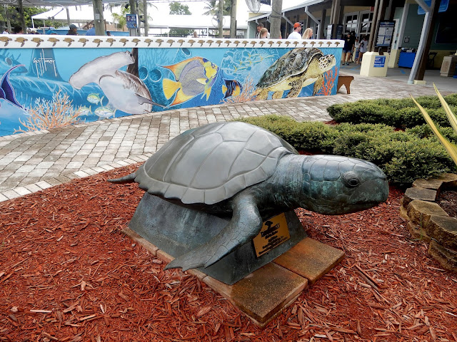 Loggerhead Marinelife Center