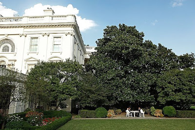 White House Rose Garden.