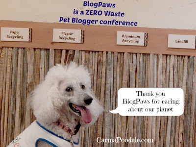 #Blogpaws tried to do zero waste. 