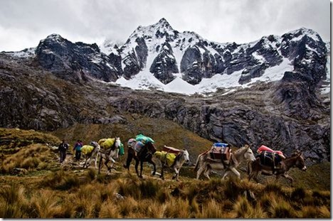 caravan