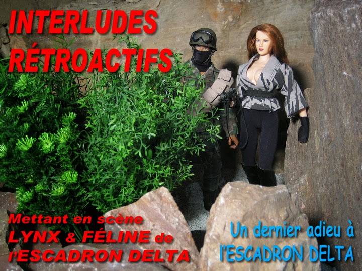 http://bdanderpolcomics.blogspot.ca/2014/05/interludes-retroactifs-1ere-partie.html