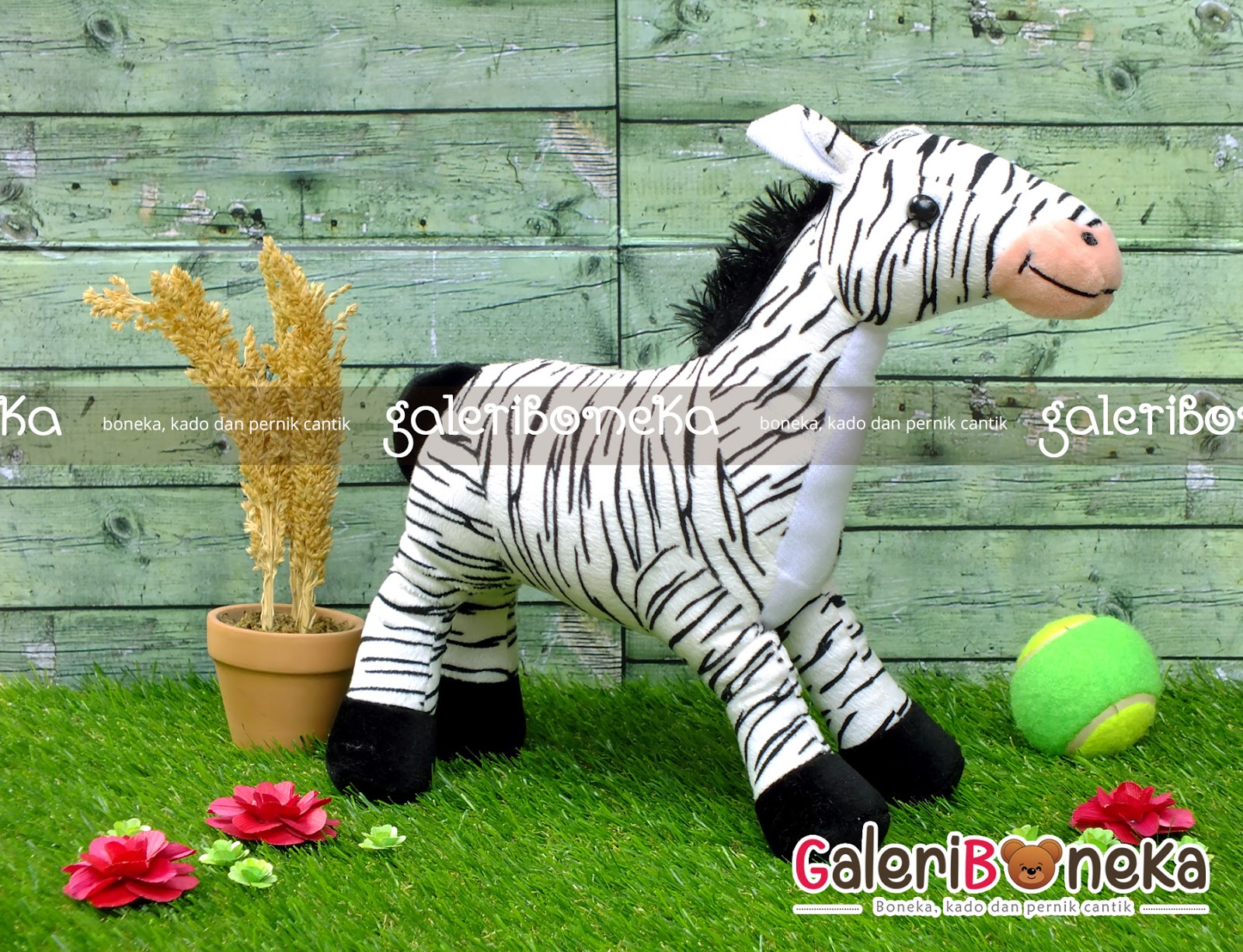 Koleksi Gambar Foto Zebra Lucu Terbaru 2018 Sapawarga