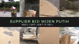 Harga  Wijen Putih 2014, Harga  Wijen Putih 2015, Harga  Wijen Putih 2016, Harga  Wijen Putih 2017, Impor  Wijen, Importir  Wijen , Importir  Wijen Surabaya, Jenis  Wijen Putih, Jual  Wijen Putih, Jual Biji Wijen Jakarta