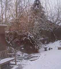 Bleak afternoon of 05.01