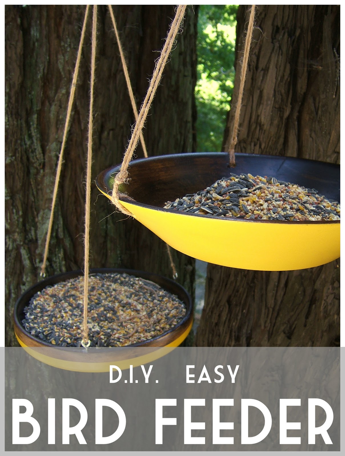 easy bird feeder plans