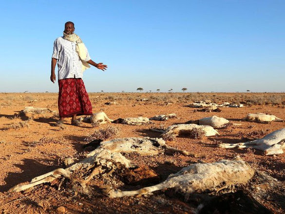 Jutaan Jiwa Penduduk Somalia Terancam Kelaparan, Mari Bergerak bersama ACT!