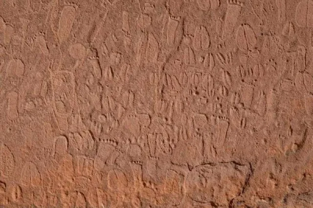 Rastreadores descifran petroglifos milenarios a partir de las huellas de sus patas (y un sorprendente animal resulta ser especialmente popular)