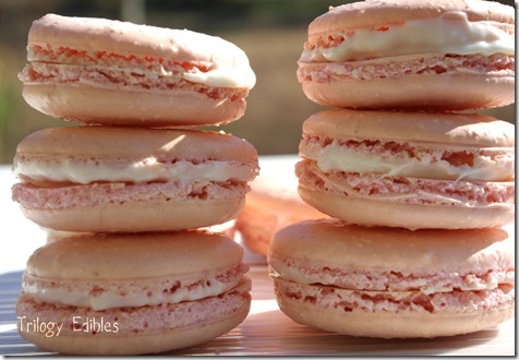 Stackedmacarons