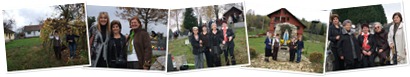 Prikaži album