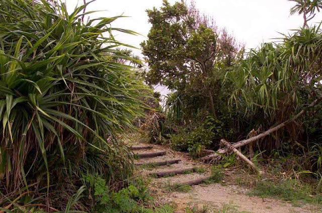 trail and stairs to attraction