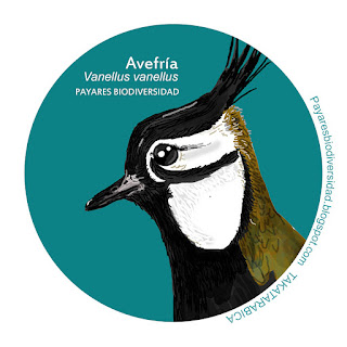 avefria Payares Asturias
