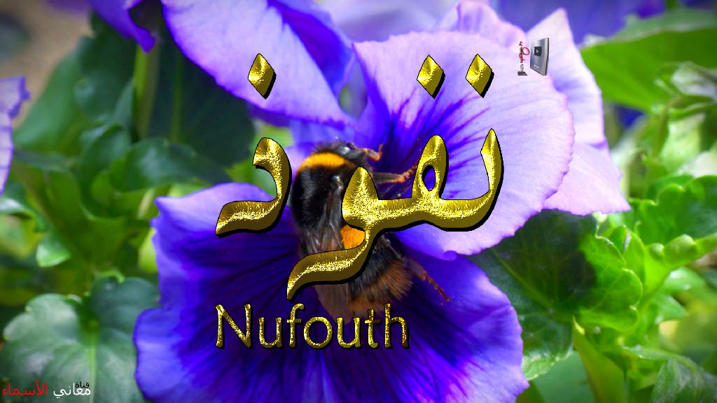 معنى اسم, نفوذ, وصفات, حاملة, وحامل, هذا الاسم, Nufouth,