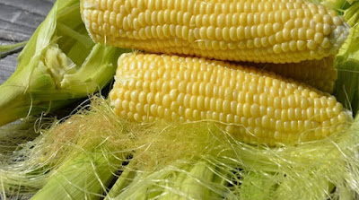 Rambut Jagung Efektif Untuk Penderita Diabetes, Darah Tinggi dan Batu Ginjal!