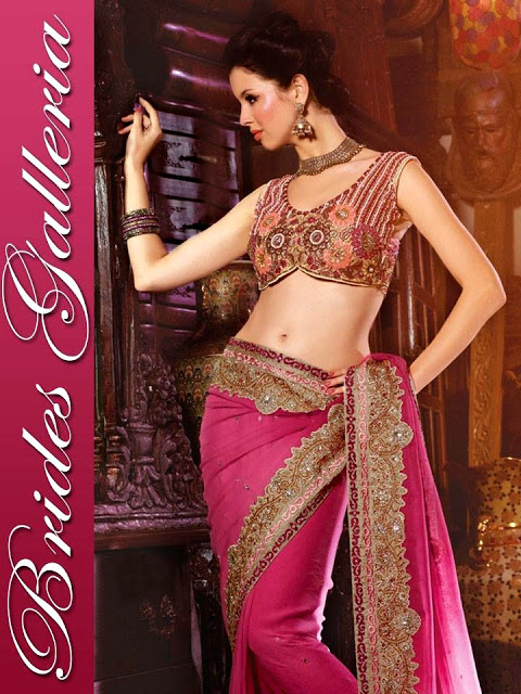 Bridal Sari Collection 2013-2014