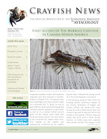 Cover of Crayfish News 45, issue 1-2, with marbled crayfish on cover.