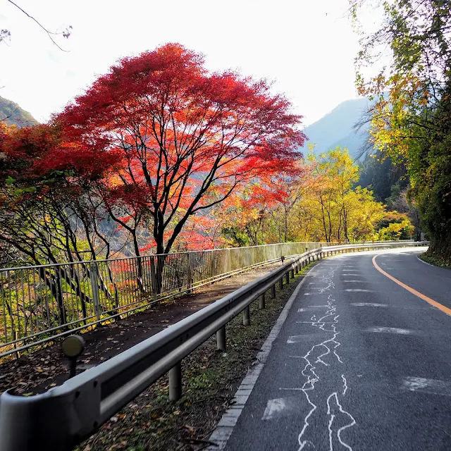 彩甲斐街道