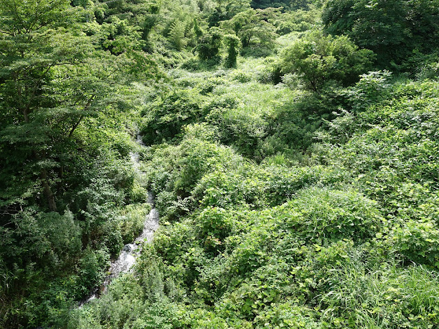 鳥取県西伯郡伯耆町福兼　大江川