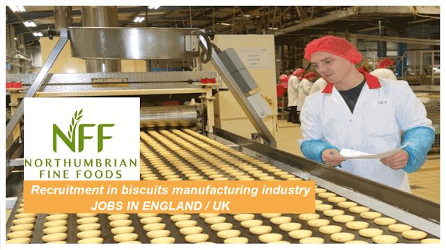 Food manufacturing industry search job at many sectors 