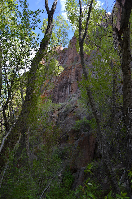 varnish on the cliff walls