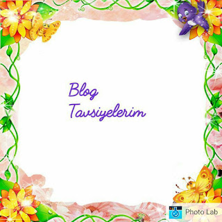 https://delikizinbohcs.blogspot.co.at/p/blog-tavsiyelerim.html