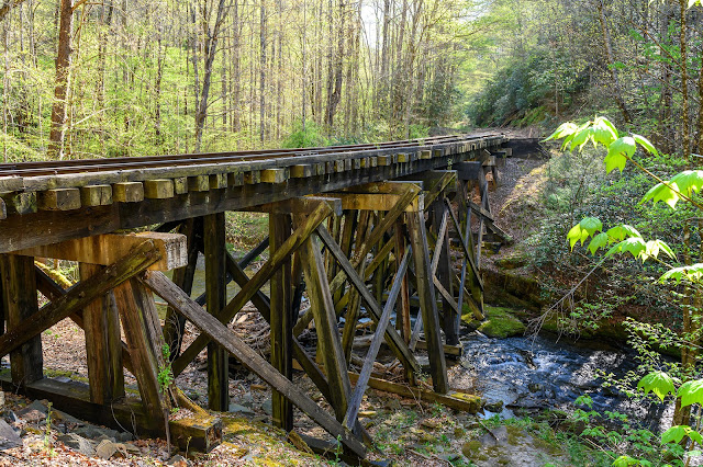Wooden Tressel at Andrews Valley Rail Tours