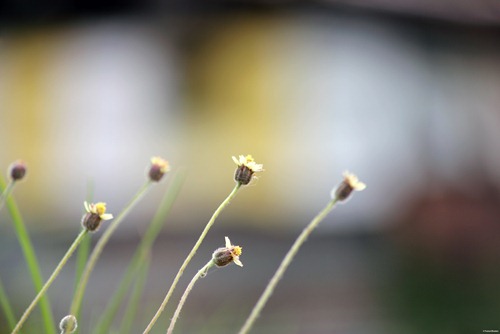 IMG_2010-Edited
