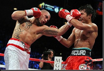fight2