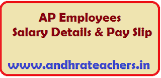 AP Employees Salary Details AP Employees Salary Details AP Employees Pay Particulars Know your salary details from below link AP Employee Pay Slips or AP Employee Salary Slip or AP Employees Pay Details  is available. All AP Employees who are working in various Government Department and Teachers can check Salary details online and download pay slips with your Treasury ID