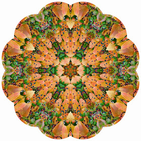 Kaleidoscope Photo Art fall foliage by Jeanne Selep
