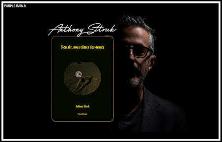 Livre avis chronique : Bien sûr, nous eûmes des orages • Anthony Sitruk