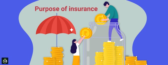 Insurance plays a vital role in promoting stability and resilience in economies 