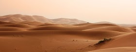مقال عن المسيرة الخضراء مقدمة عرض خاتمة