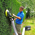 Cleaner Homes and Gardens, Kitchen, Homes, Garden and Lawn Care