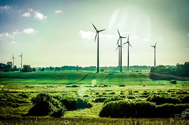 Ideas de Negocios para ganar dinero ayudando al medio ambiente