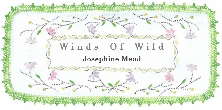 'Winds of Wild', by Josephine Mead