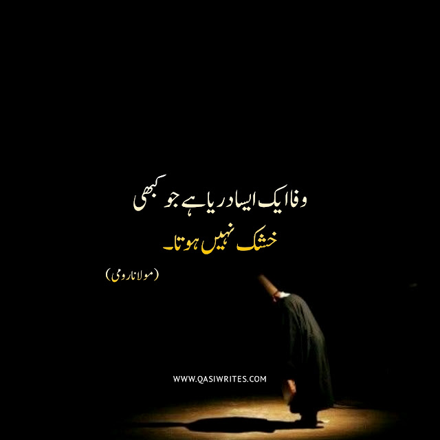 Maulana Rumi Best Quotes in Urdu | Deep Sufi Quotes - Qasiwrites