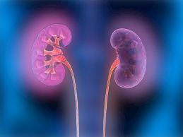 Symptoms of kidney failure