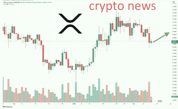 Prediction of XRP pricing as an XRP whale activates the wallet with 30 million tokens - What's going on?