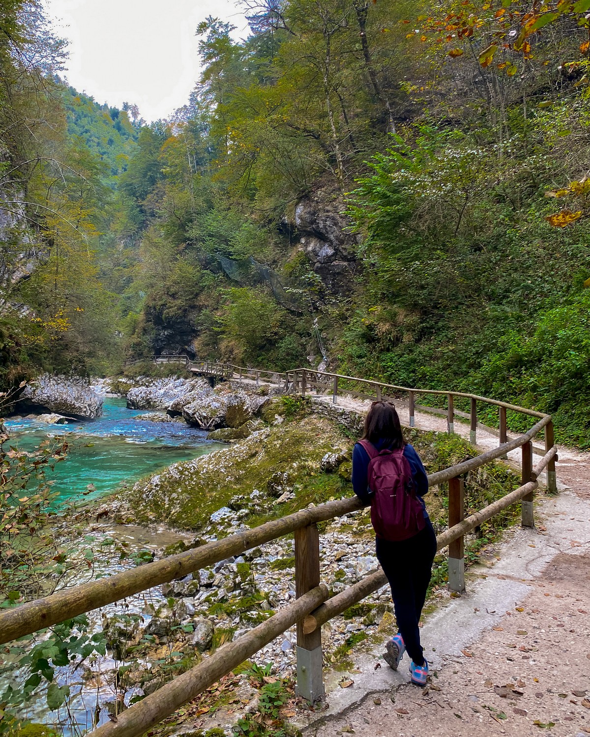 Visiting Vintgar Gorge in Slovenia (Blejski vintgar)