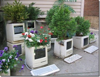 ComputerGarden