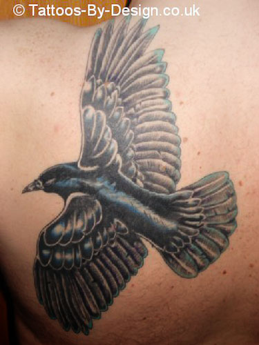 Here is the photo of the crow tattoo bigger: Tribal raven tattoo designs