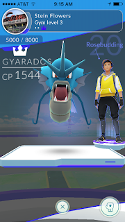 Pokemon Gym - Stein Your Florist Co. Gyarados